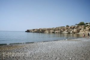 Avra Palm_travel_packages_in_Crete_Lasithi_Koutsounari