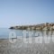 Avra Palm_travel_packages_in_Crete_Lasithi_Koutsounari