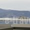 Harmony Luxury Rooms_accommodation_in_Room_Peloponesse_Argolida_Argos