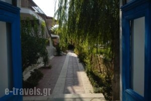 Ampelia Studios_best prices_in_Hotel_Macedonia_Halkidiki_Haniotis - Chaniotis