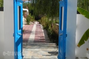 Ampelia Studios_lowest prices_in_Hotel_Macedonia_Halkidiki_Haniotis - Chaniotis
