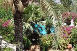 Hotel Irini_travel_packages_in_Dodekanessos Islands_Tilos_Livadia