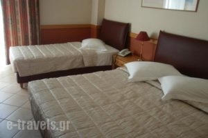 Hotel Ntinas_lowest prices_in_Hotel_Thessaly_Trikala_Trikala City