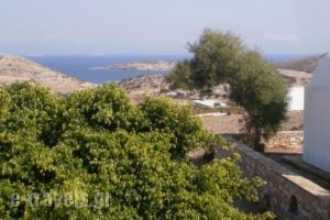 Guesthouse Xenios Zeus_holidays_in_Hotel_Cyclades Islands_Schinousa_Schinousa Chora