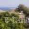 Guesthouse Xenios Zeus_holidays_in_Hotel_Cyclades Islands_Schinousa_Schinousa Chora