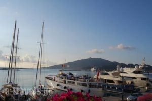 Villa Silvia_travel_packages_in_Ionian Islands_Zakinthos_Zakinthos Chora