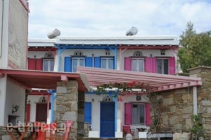 Drosoulit'S_best deals_Hotel_Cyclades Islands_Tinos_Tinosst Areas