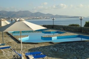 Vangelis Villas_best prices_in_Villa_Crete_Lasithi_Ierapetra