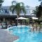 Calypso Beach_best prices_in_Hotel_Dodekanessos Islands_Rhodes_Kallithea