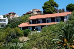 Villa Anna_accommodation_in_Villa_Thessaly_Magnesia_Pinakates