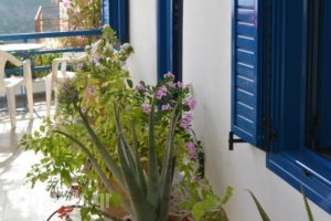 Hotel Hariklia_best deals_Hotel_Crete_Rethymnon_Aghia Galini