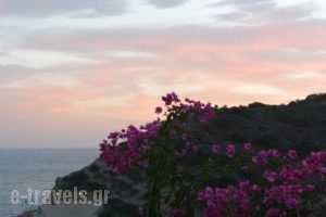 Hotel Hariklia_travel_packages_in_Crete_Rethymnon_Aghia Galini