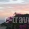 Hotel Hariklia_travel_packages_in_Crete_Rethymnon_Aghia Galini