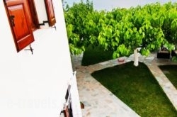 Thalassia Studios_s __1