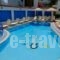 Hotel Koala_travel_packages_in_Dodekanessos Islands_Kos_Kos Chora