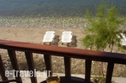 Fotini & Dimitrios_s __1
