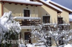 Dryas Guesthouse in Polidrosos , Fokida, Central Greece