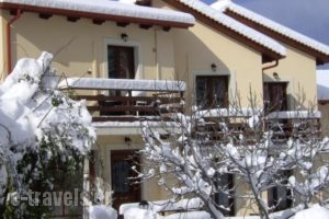 Dryas Guesthouse_accommodation_in_Hotel_Central Greece_Fokida_Polidrosos