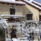 Dryas Guesthouse_accommodation_in_Hotel_Central Greece_Fokida_Polidrosos