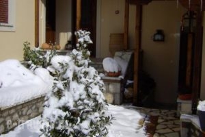 Dryas Guesthouse_lowest prices_in_Hotel_Central Greece_Fokida_Polidrosos
