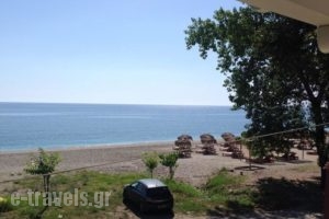 Studios Yalos_best deals_Hotel_Thessaly_Magnesia_Zagora