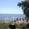 Studios Yalos_best deals_Hotel_Thessaly_Magnesia_Zagora