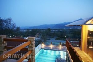 Hotel Athina_lowest prices_in_Hotel_Macedonia_Pella_Aridea