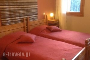 Archontiko Divani_holidays_in_Hotel_Thessaly_Trikala_Trikala City