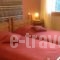 Archontiko Divani_holidays_in_Hotel_Thessaly_Trikala_Trikala City