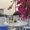 Apartments Tarsa_travel_packages_in_Cyclades Islands_Antiparos_Antiparos Chora