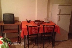 Tokamanis Apartments_lowest prices_in_Apartment_Thraki_Evros_Didimoticho