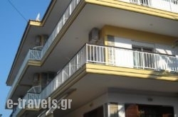 Iris Hotel_s __1