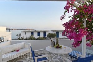 Apartments Tarsa_holidays_in_Apartment_Cyclades Islands_Antiparos_Antiparos Chora
