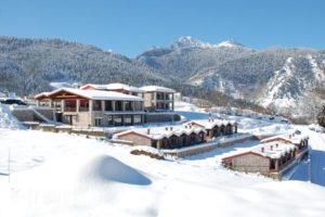Ipsivaton Mountain Resort_best deals_Hotel_Thessaly_Karditsa_Neochori