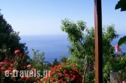 Studio Froso in Samos Rest Areas, Samos, Aegean Islands