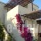 Christina Apartments_accommodation_in_Apartment_Cyclades Islands_Tinos_Agios Sostis