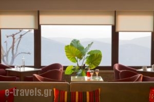 Ellinon Thea Arachova_lowest prices_in_Hotel_Central Greece_Fokida_Delfi