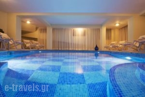 Ellinon Thea Arachova_best deals_Hotel_Central Greece_Fokida_Delfi