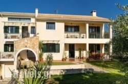 Koxyli Studios & Apartments in Kefalonia Rest Areas, Kefalonia, Ionian Islands