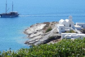 Hotel Flora_best prices_in_Hotel_Cyclades Islands_Sifnos_Platys Gialos