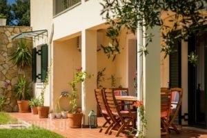 Koxyli Studios & Apartments_lowest prices_in_Apartment_Ionian Islands_Kefalonia_Kefalonia'st Areas