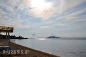 Hotel Regos_best deals_Hotel_Macedonia_Halkidiki_Neos Marmaras