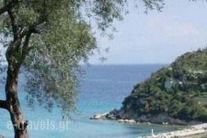 Studio Low Lina_best prices_in_Hotel_Ionian Islands_Paxi_Paxi Chora