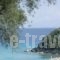 Studio Low Lina_best prices_in_Hotel_Ionian Islands_Paxi_Paxi Chora