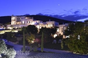 Naoussa Hills Boutique Resort - Adults Only (15+)_lowest prices_in_Hotel_Cyclades Islands_Paros_Paros Chora