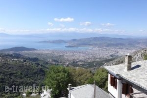 Archontiko Koilia_accommodation_in_Hotel_Thessaly_Magnesia_Makrinitsa