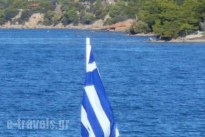 Blue Beach_best prices_in_Hotel_Piraeus islands - Trizonia_Spetses_Spetses Chora