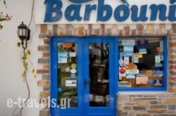 Barbouni Hotel & Studios_s __1