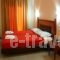 Hotel Selini_holidays_in_Hotel_Central Greece_Aetoloakarnania_Agrinio
