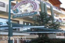 Hotel Prigipikon_s __1